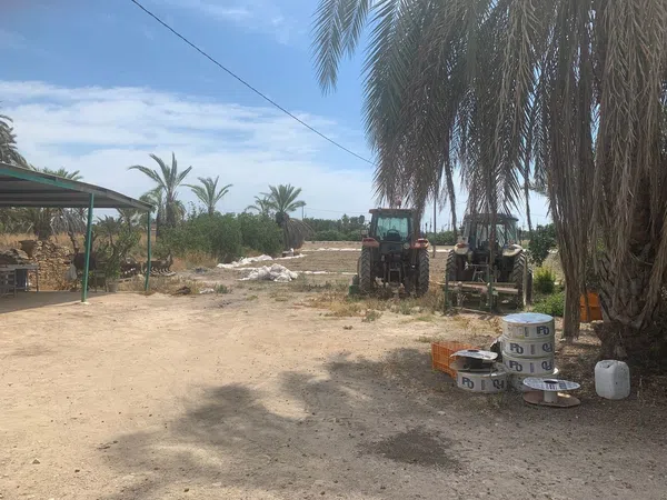 Finca rústica en Carretera de Elche a Casas del León, 30, Algoda-Matola-Llano de San José, Algoda-Matola-Llano de San José - Foto 4
