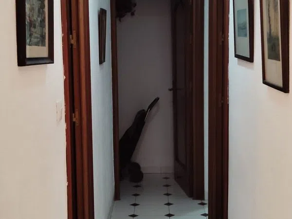 Piso en calle Armengual de la Mota, 18 - Foto 7