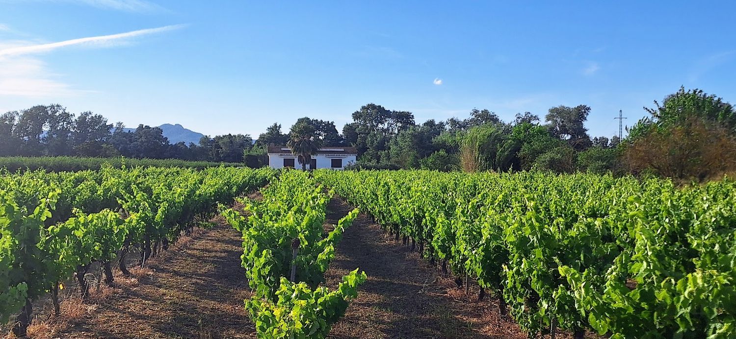 Finca rústica en Unnamed Road s/n - Foto 38