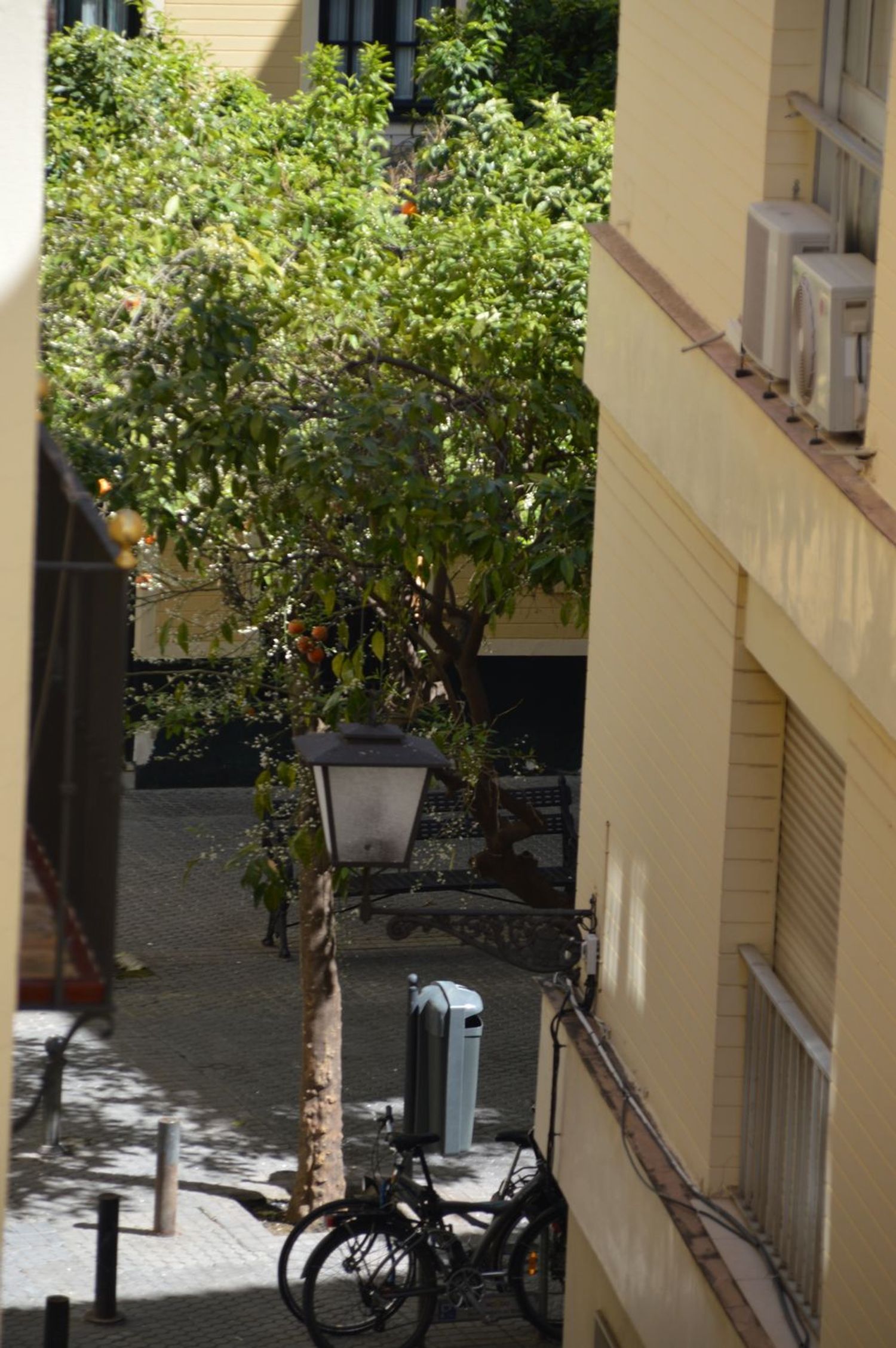 Piso en Calle Moratín, 24, Arenal - Museo - Tetuán - Foto 22