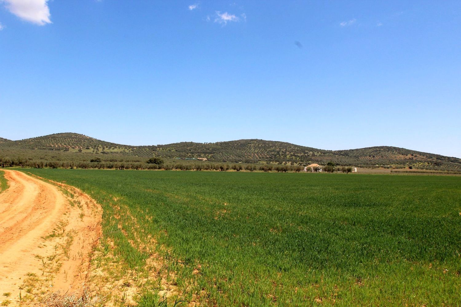 Cortijo en Cr-7021, 5 km - Foto 19