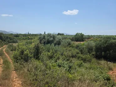 Finca rústica en  Masia els Michans 1 - Foto 3