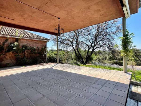 Casa o chalet independiente en Escorzonera, Monteclaro - Foto 15