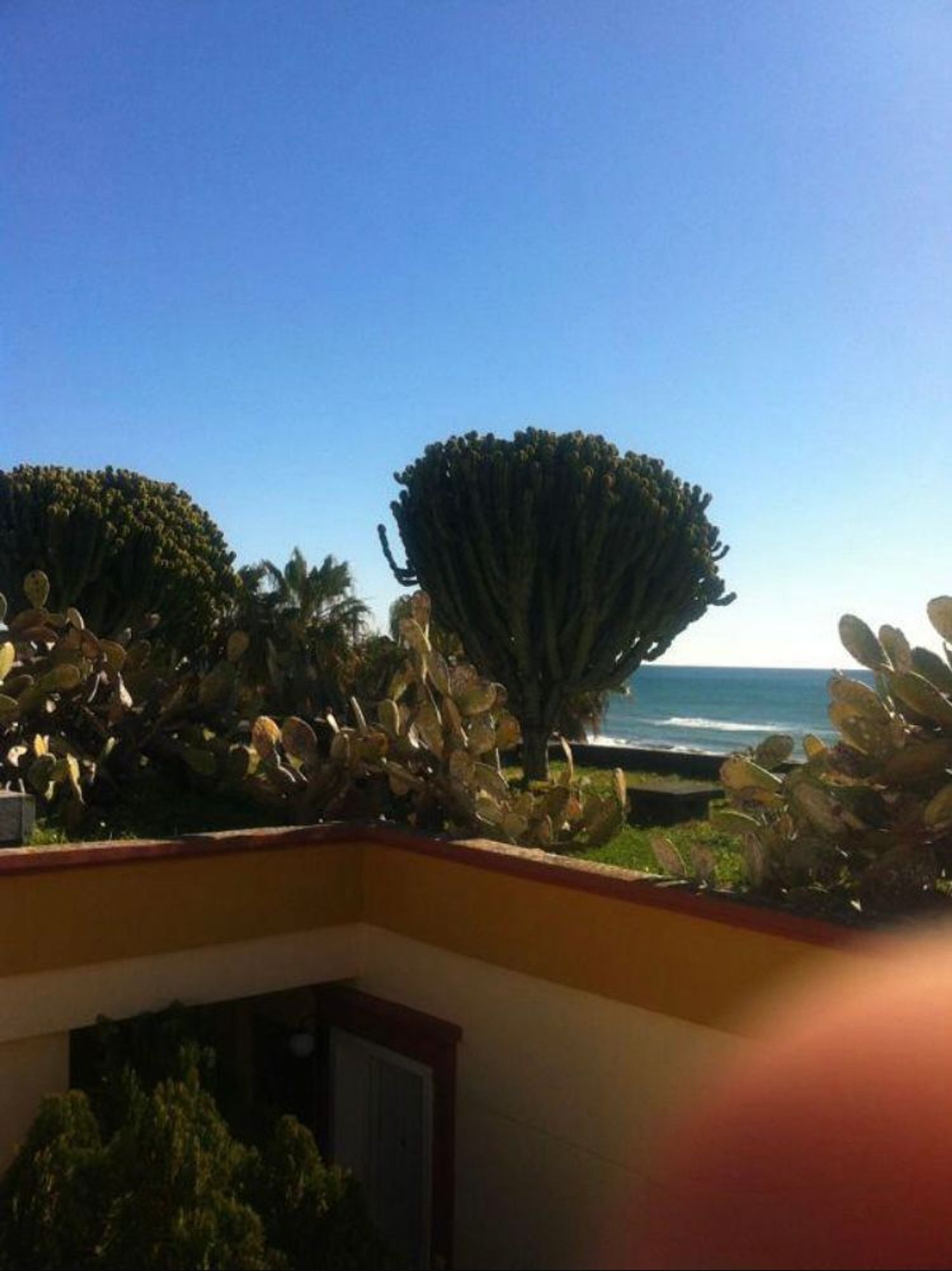 Piso en Avenida Jardines de las Golondrinas s/n, Romana Playa - Foto 9