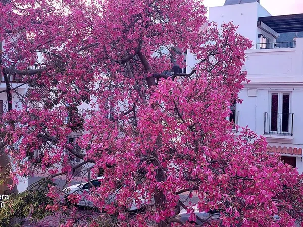 Chalet adosado en pozo Prado, 7 - Foto 22