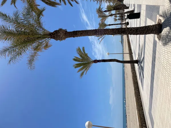 Piso en calle Músico Vicente Spiteri, 21 - Foto 13