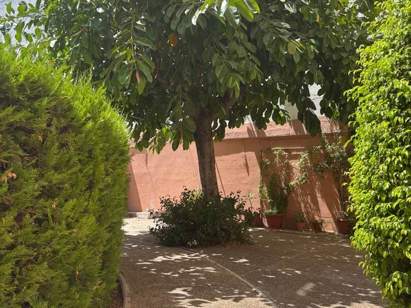 Piso en Calle Bogotá, 25, Felipe II - Bueno Monreal - Foto 5