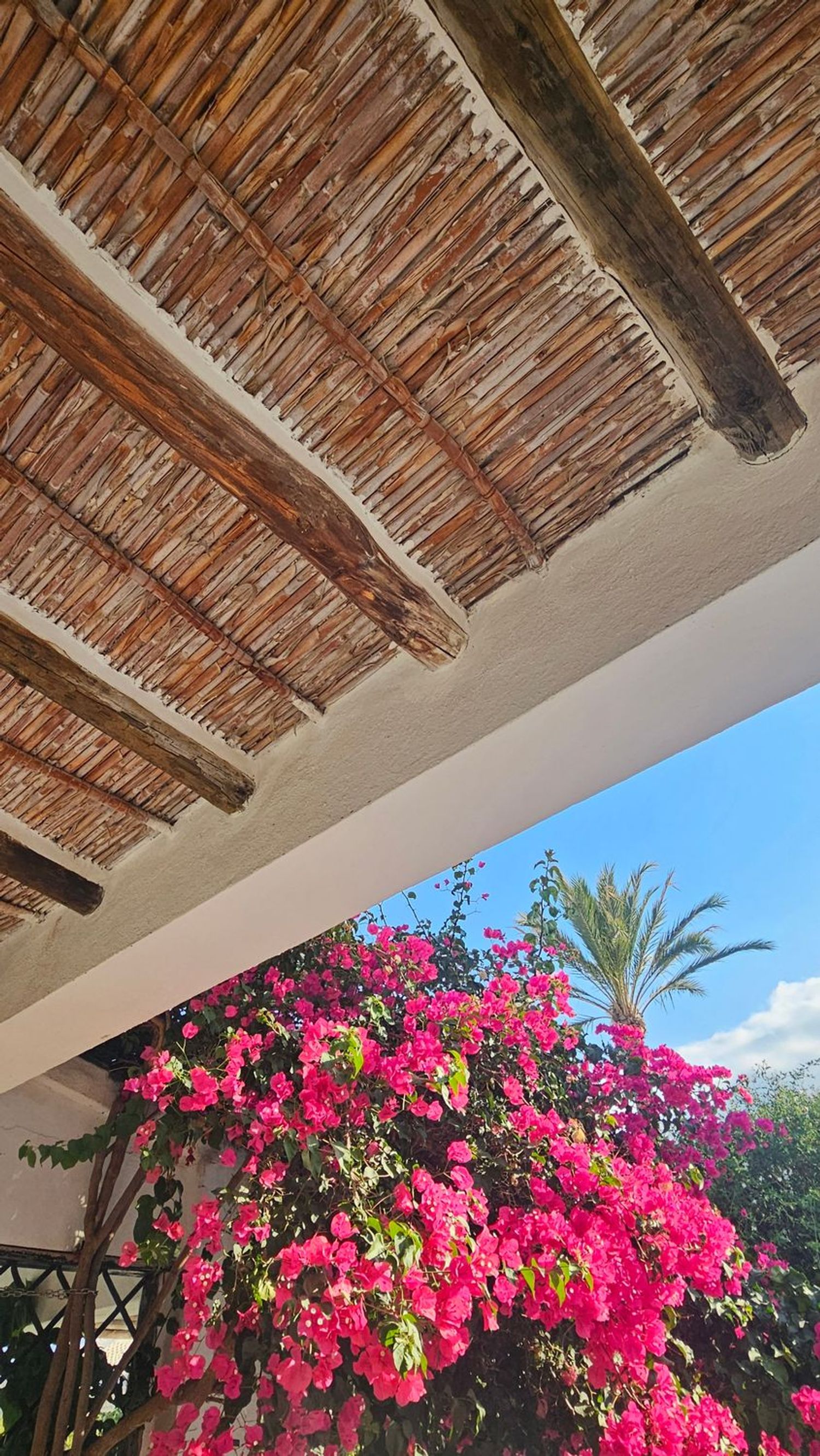 Finca rústica en Altea Pueblo, Altea Pueblo - Foto 10