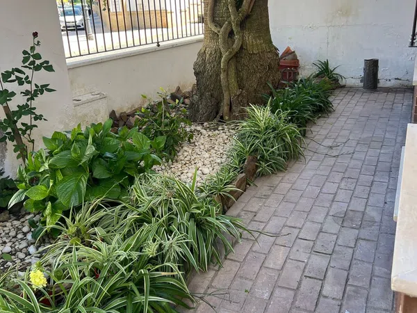 Chalet adosado en Calle Senador Agustin Díaz Camacho, 7 - Foto 36