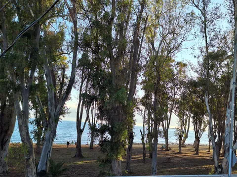 Piso en calle Bolivia, 40