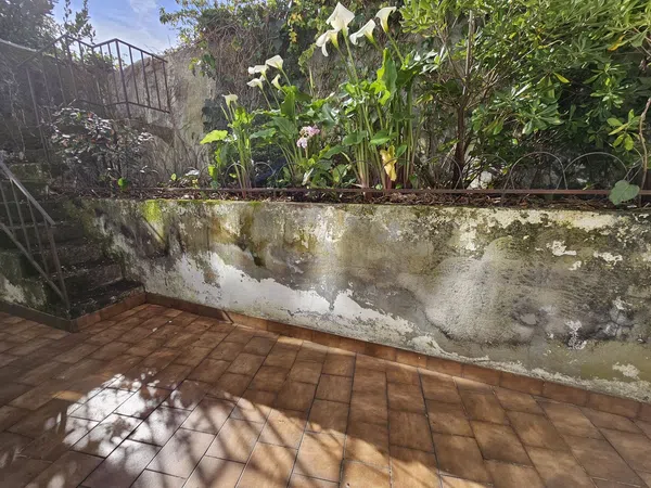 Piso en calle de Tinajas, 18 - Foto 7