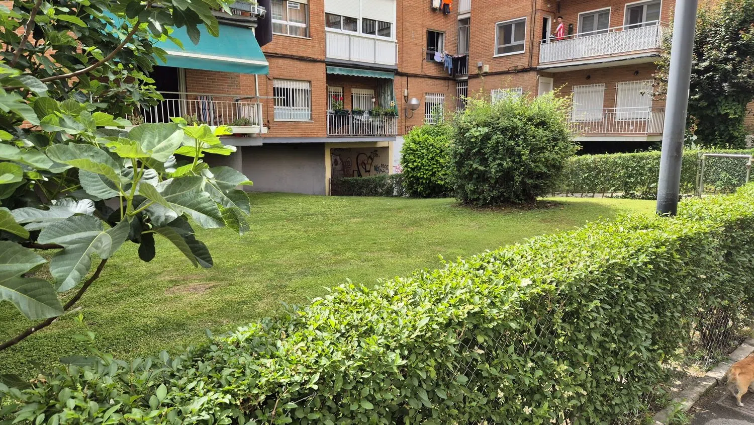 Piso en plaza de la Encina, 3 - Foto 34