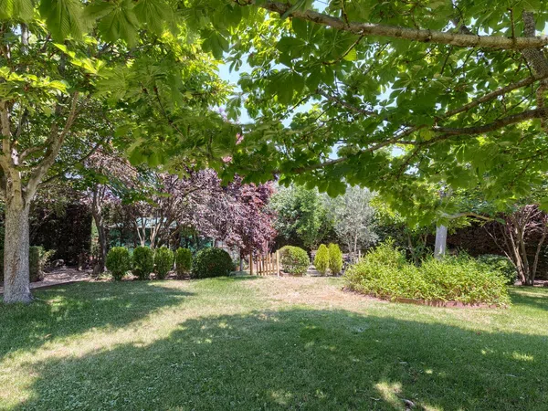 Casa o chalet independiente en Ciudalcampo - Foto 36