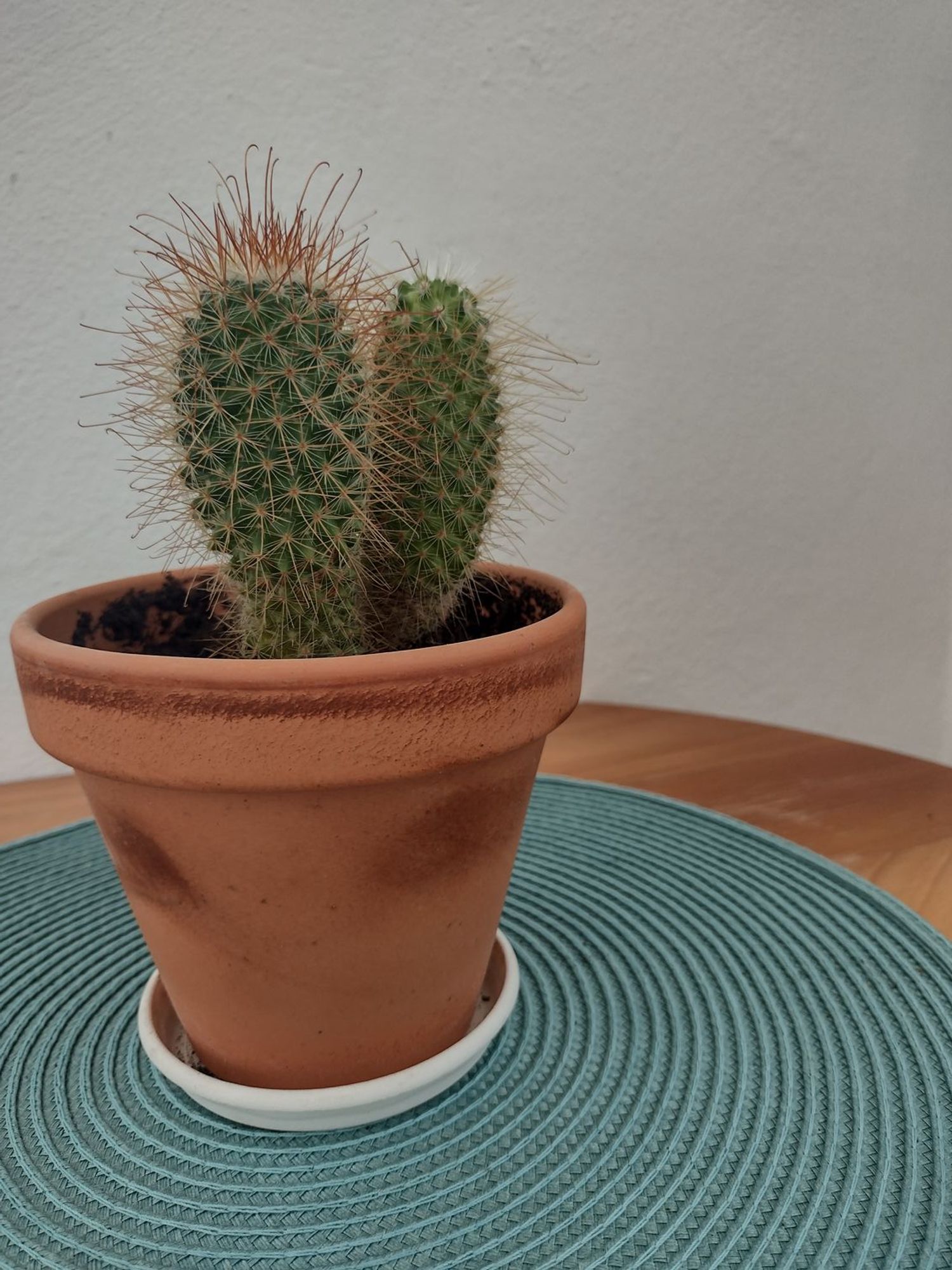 Piso en Tarifa - Foto 11