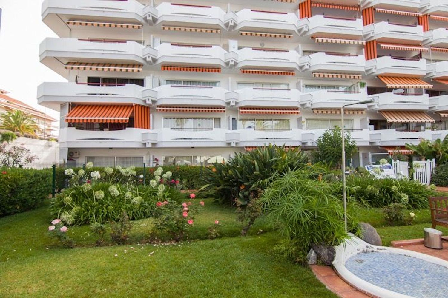 Estudio en Distrito Botánico - Foto 10