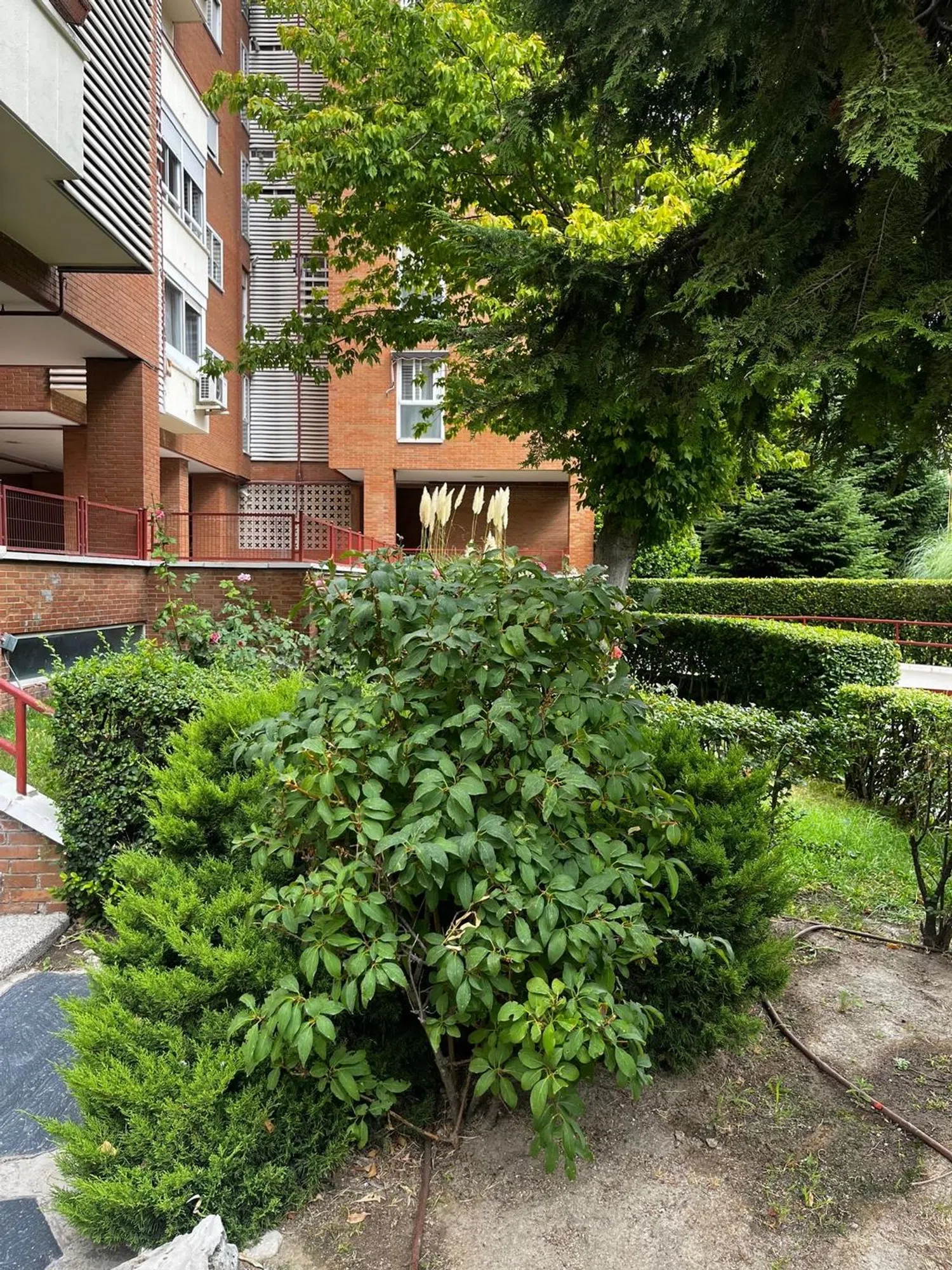 Piso en calle de Puentelarra, 46 - Foto 9