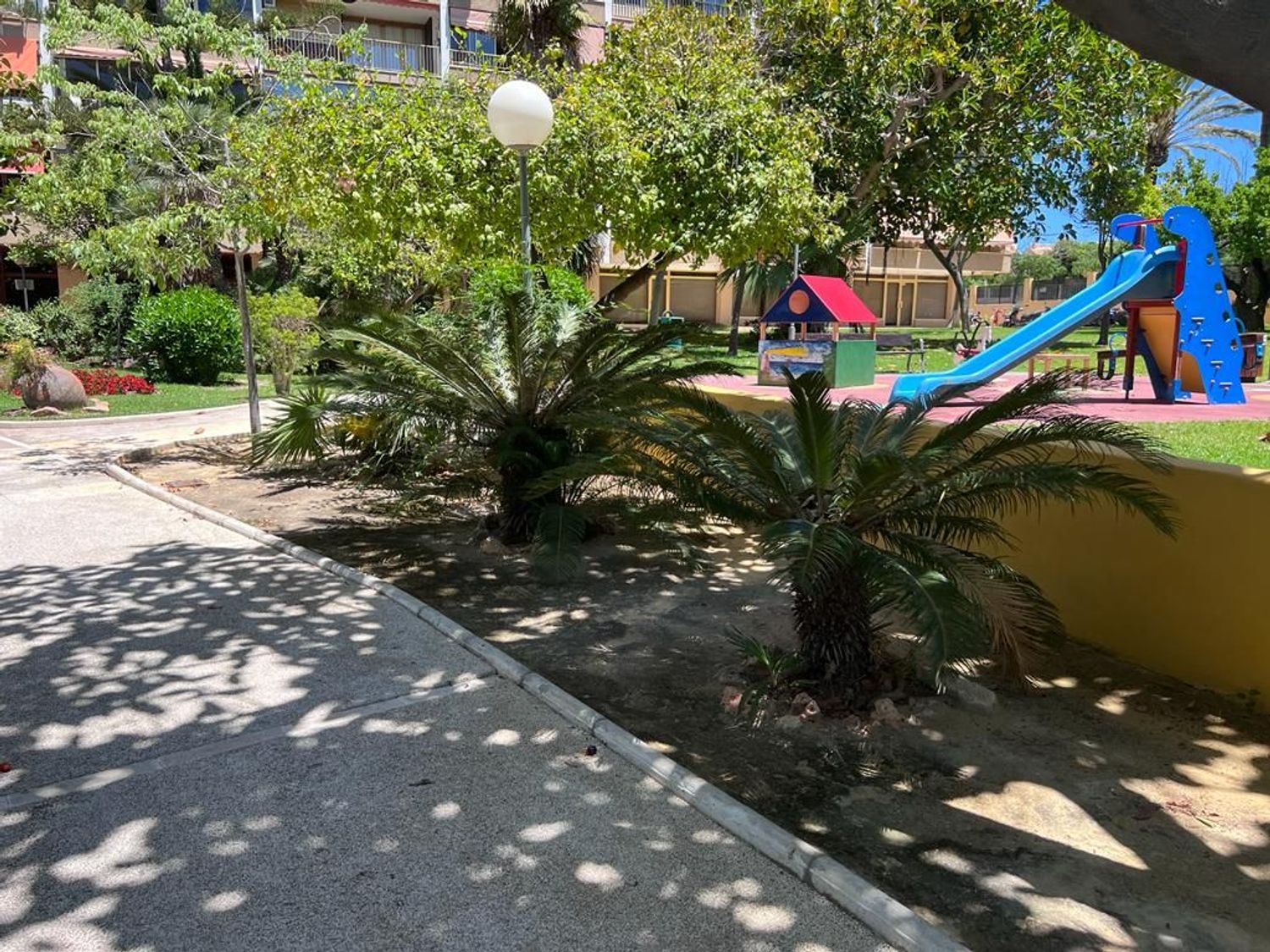 Estudio en Calle Trident, 12, Cabo de las Huertas - Foto 23