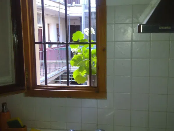 Piso en Calle Cabestreros, 9, Lavapiés-Embajadores - Foto 10