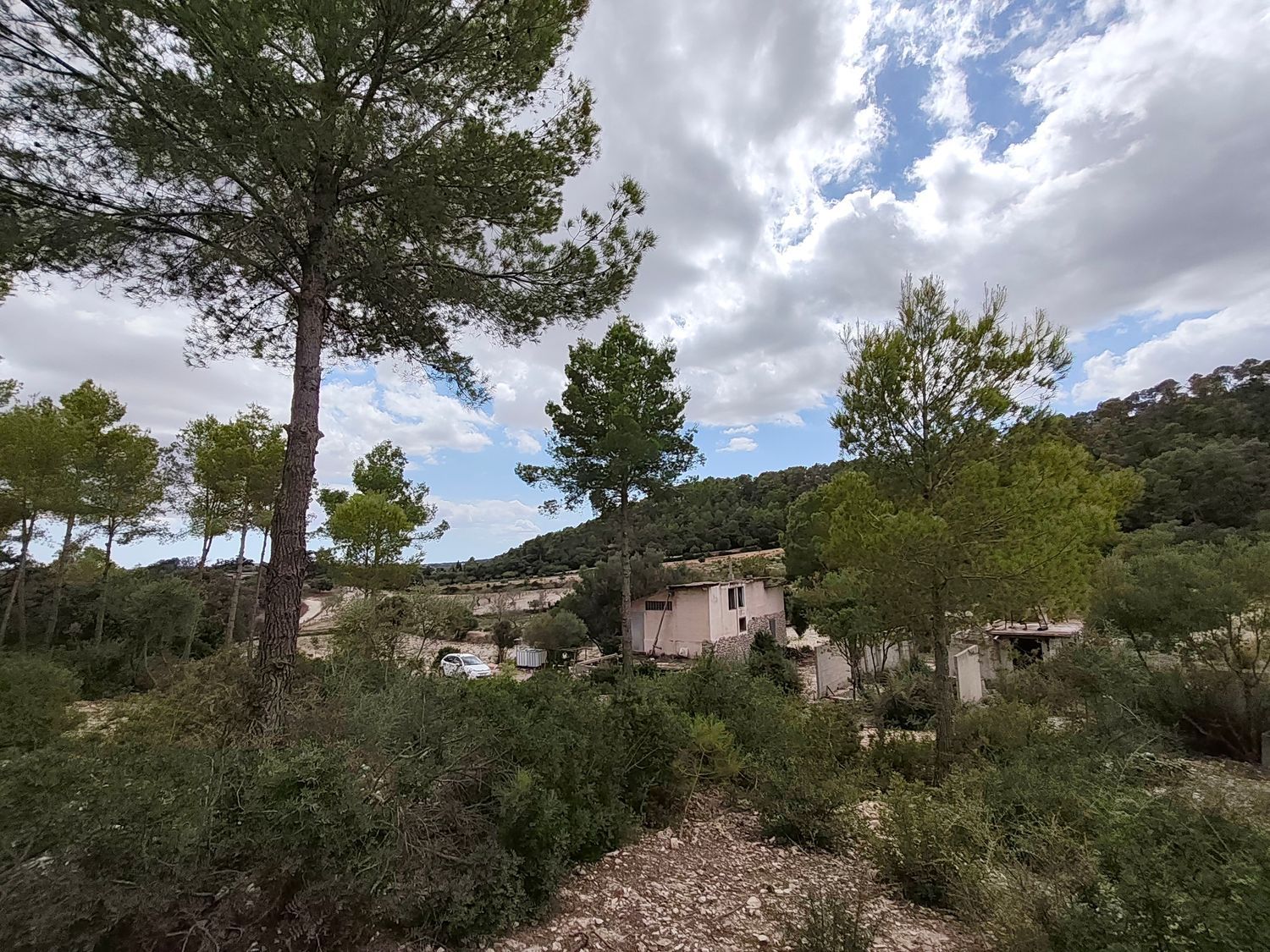 Casa o chalet independiente en Rafal aixat s/n - Foto 12
