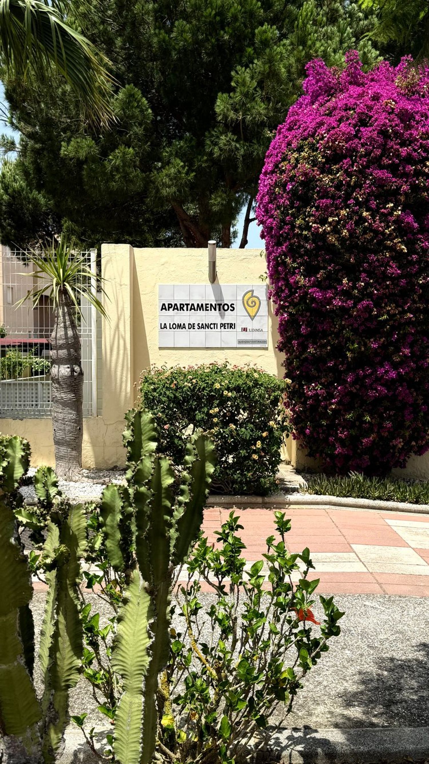 Piso en Calle Marco Aurelio, 44, Novo Sancti Petri - Foto 19