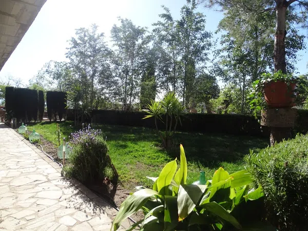 Casa rural en Paraje Cueva de la Luz s/n - Foto 5
