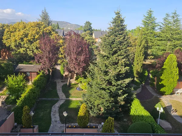 Chalet pareado en calle Miguel de Cervantes s/n - Foto 31