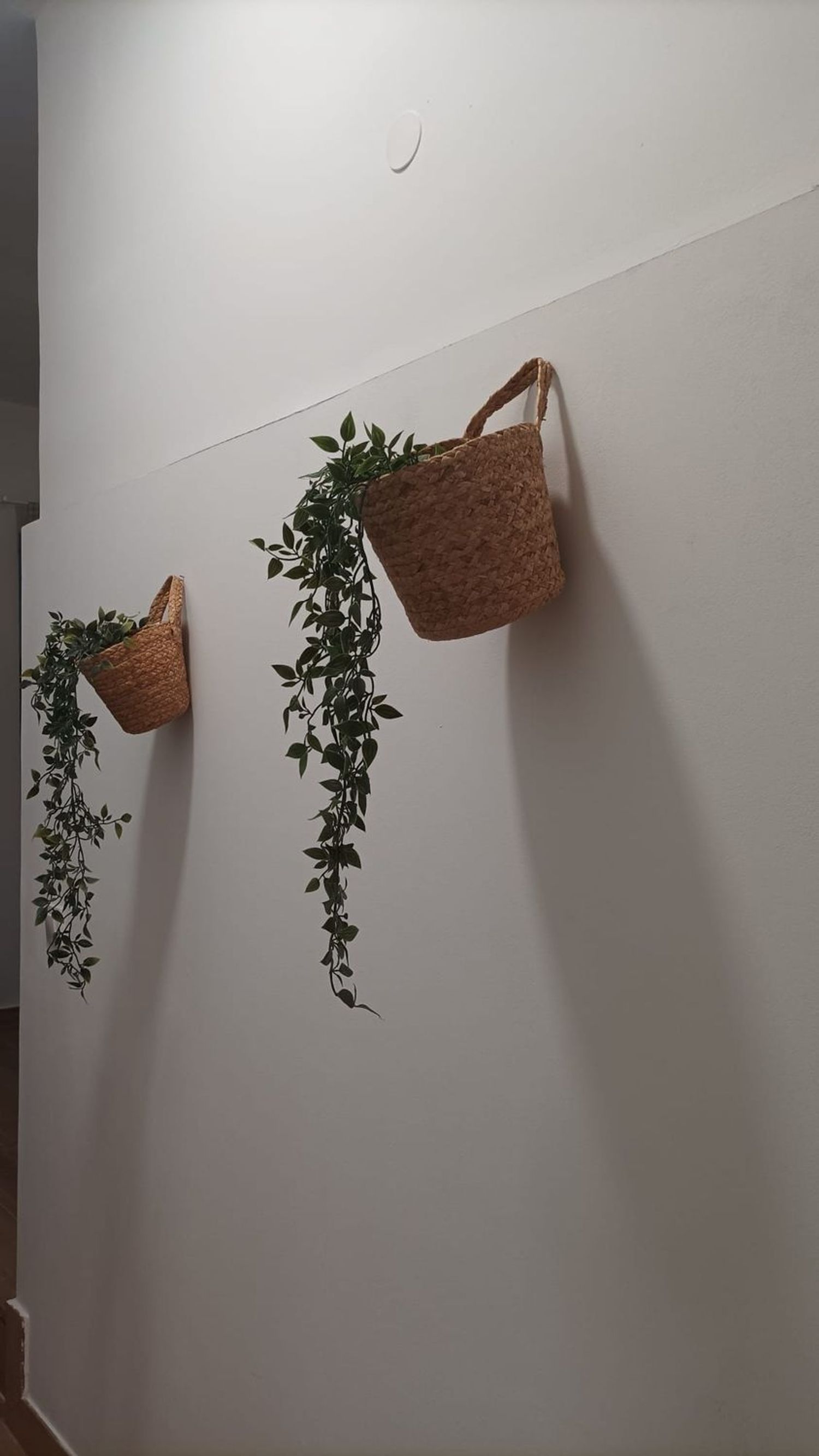 Estudio en plaza de Menéndez Pelayo, 6 - Foto 4