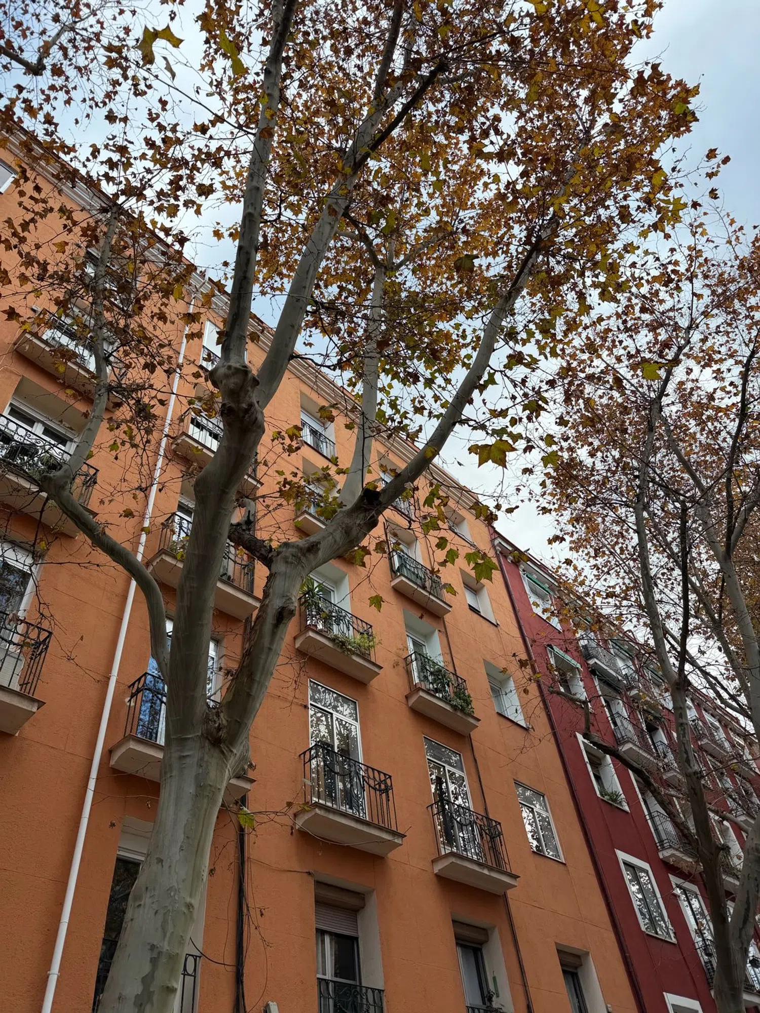 Ático en paseo de Santa María de la Cabeza, 33 - Foto 15