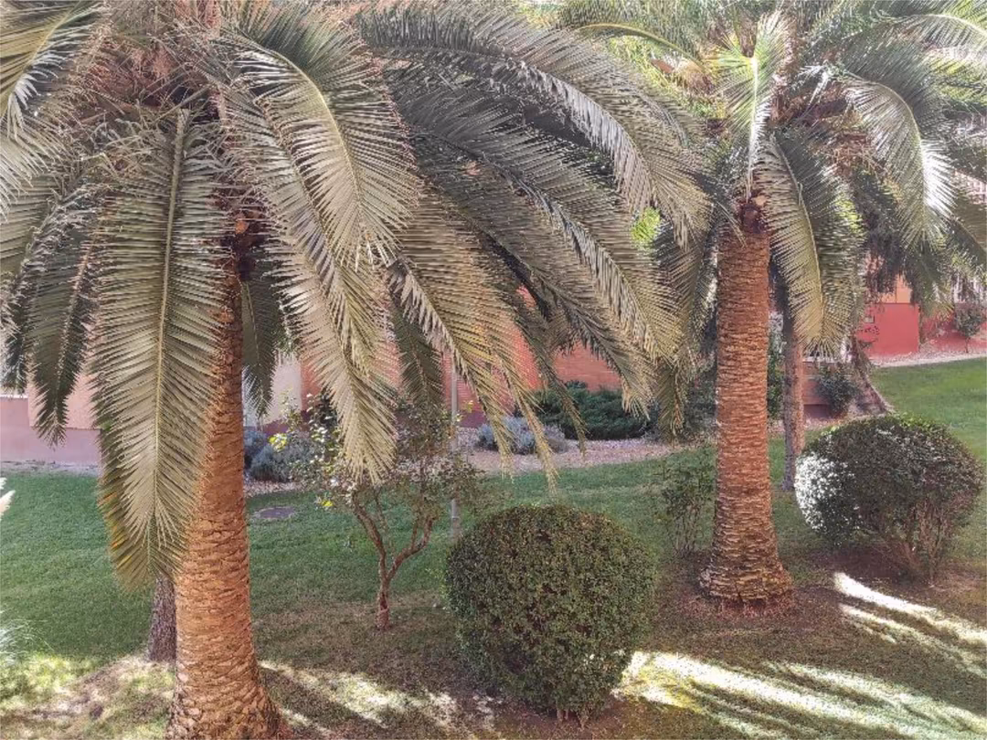 Piso en  Calle de Alcorisa 55 - Foto 8