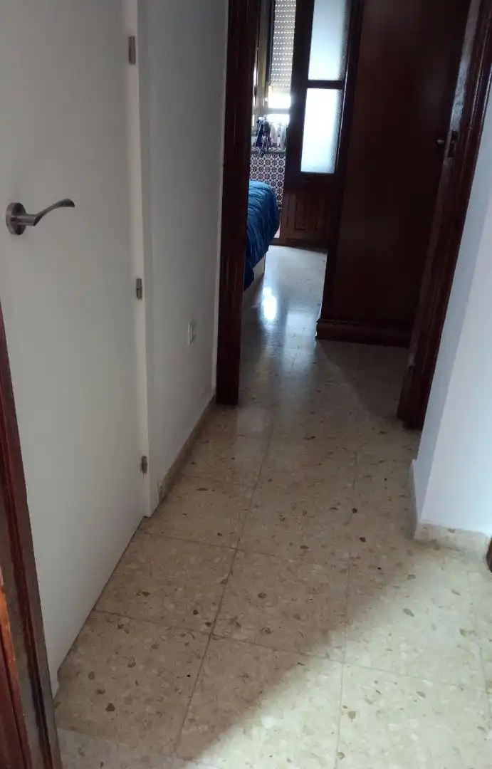 Piso en  Avenida de Pino Montano 20 - Foto 2