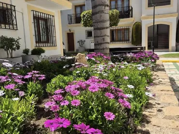 Apartamento en  Calle Nuñez de Balboa 73 - Foto 14