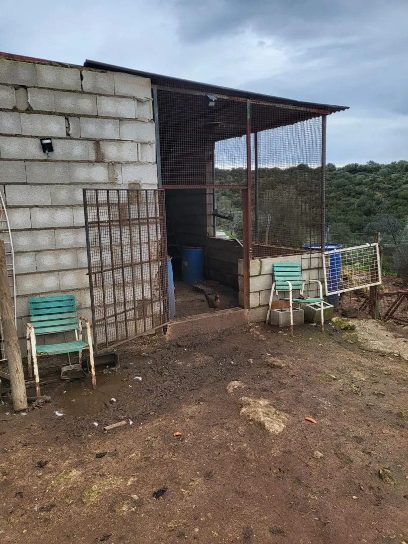 Finca rústica en  Calle Héctor Villa-Lobos 5 - Foto 3