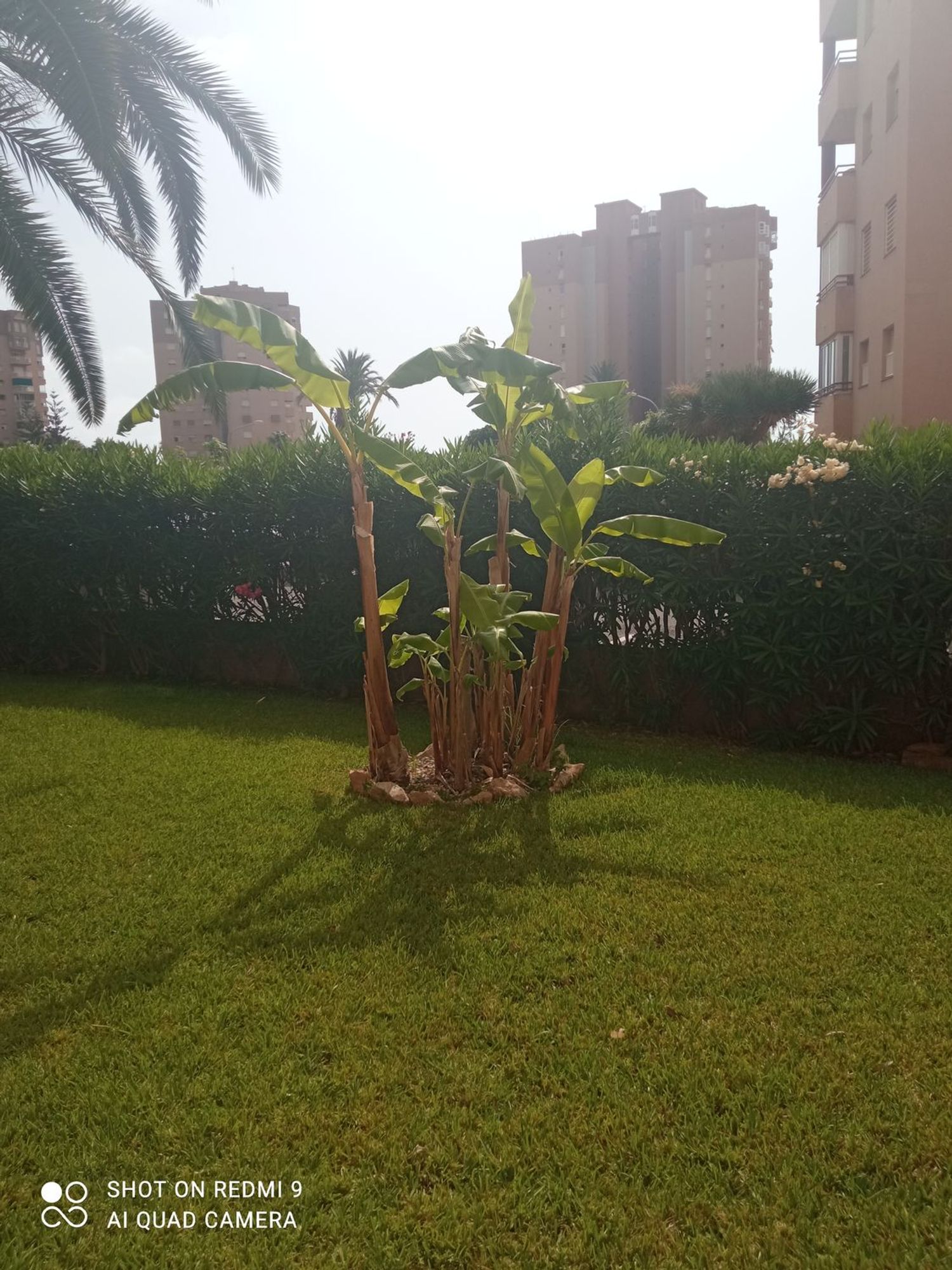 Piso en Calle Teodoro Llorente, 16, Campoamor - Foto 32