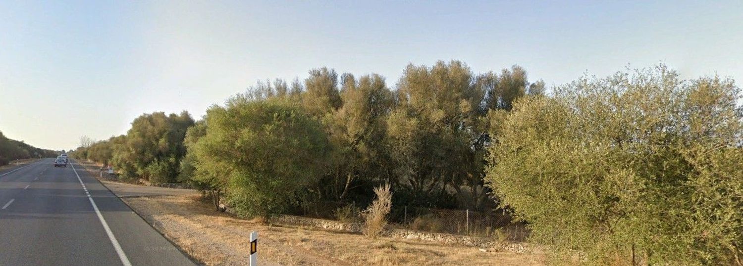Finca rústica en Camino Diseminado es Figueral, 114 - Foto 4