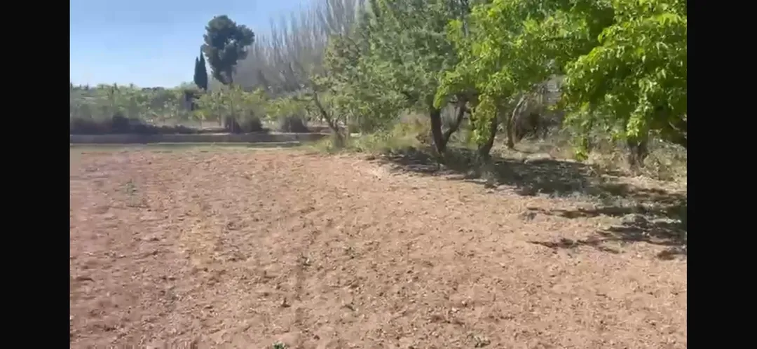 Finca rústica en  Calle de Alfocea 20 - Foto 2