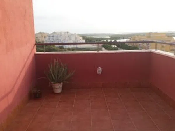 Ático en Calle anade, 43, El Sabinar - Urbanizaciones - Las Marinas - Foto 24