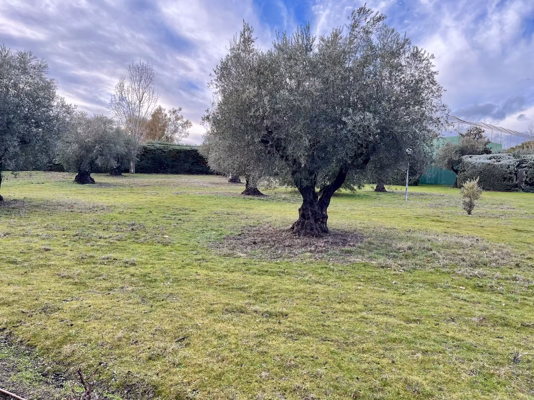 Piso en  Calle Solano 16 - Foto 24