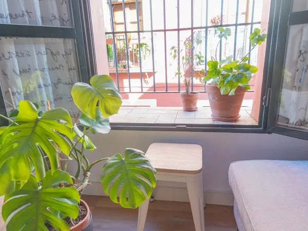 Estudio en Juzgado, 19, San Julián - Foto 11