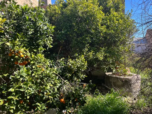 Casa de pueblo en P.Domínguez García, 86 - Foto 5
