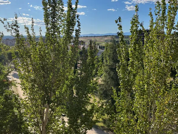 Piso en calle Alejandro Casona, 7