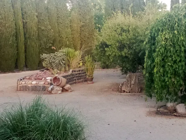 Finca rústica en Calle Diseminados, 5 - Foto 9