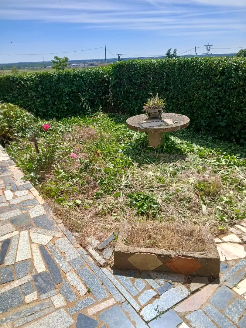 Planta baja en  Carretera de León - Astorga 340 - Foto 5