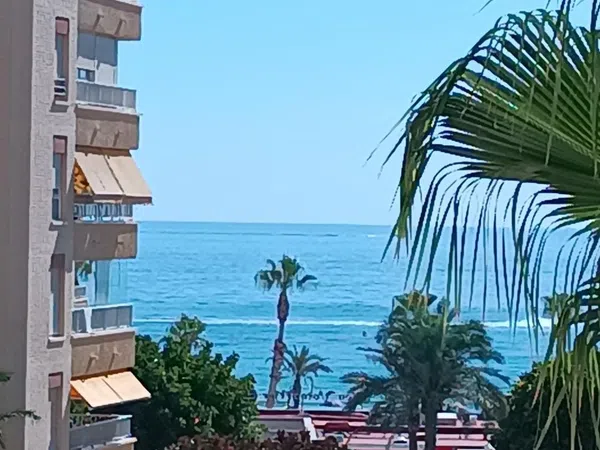 Piso en Calle Músico Agustín Bertomeu, El Palmeral-Urbanova-Tabarca - Foto 1