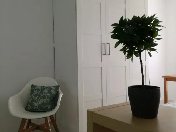 Estudio en calle de las Naves, 9 - Foto 2