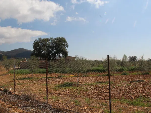 Finca rústica en Cr-7131, 1 km - Foto 4