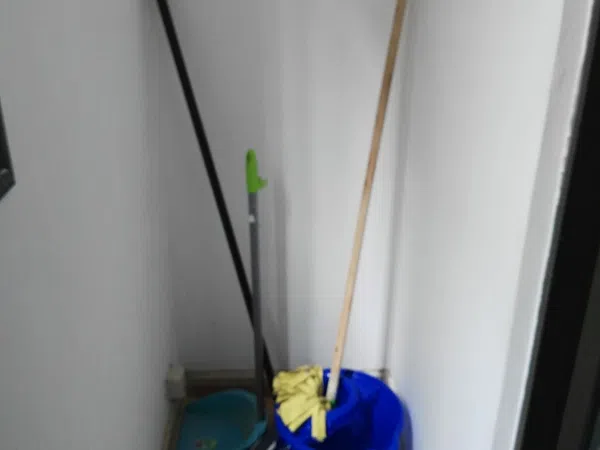 Piso en Calle León y Castillo, 285, Ciudad Jardín - Foto 13
