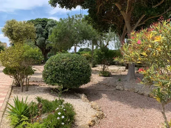 Chalet adosado en Urbanización Buenavista, 221, Buenavista, Buenavista - Foto 22