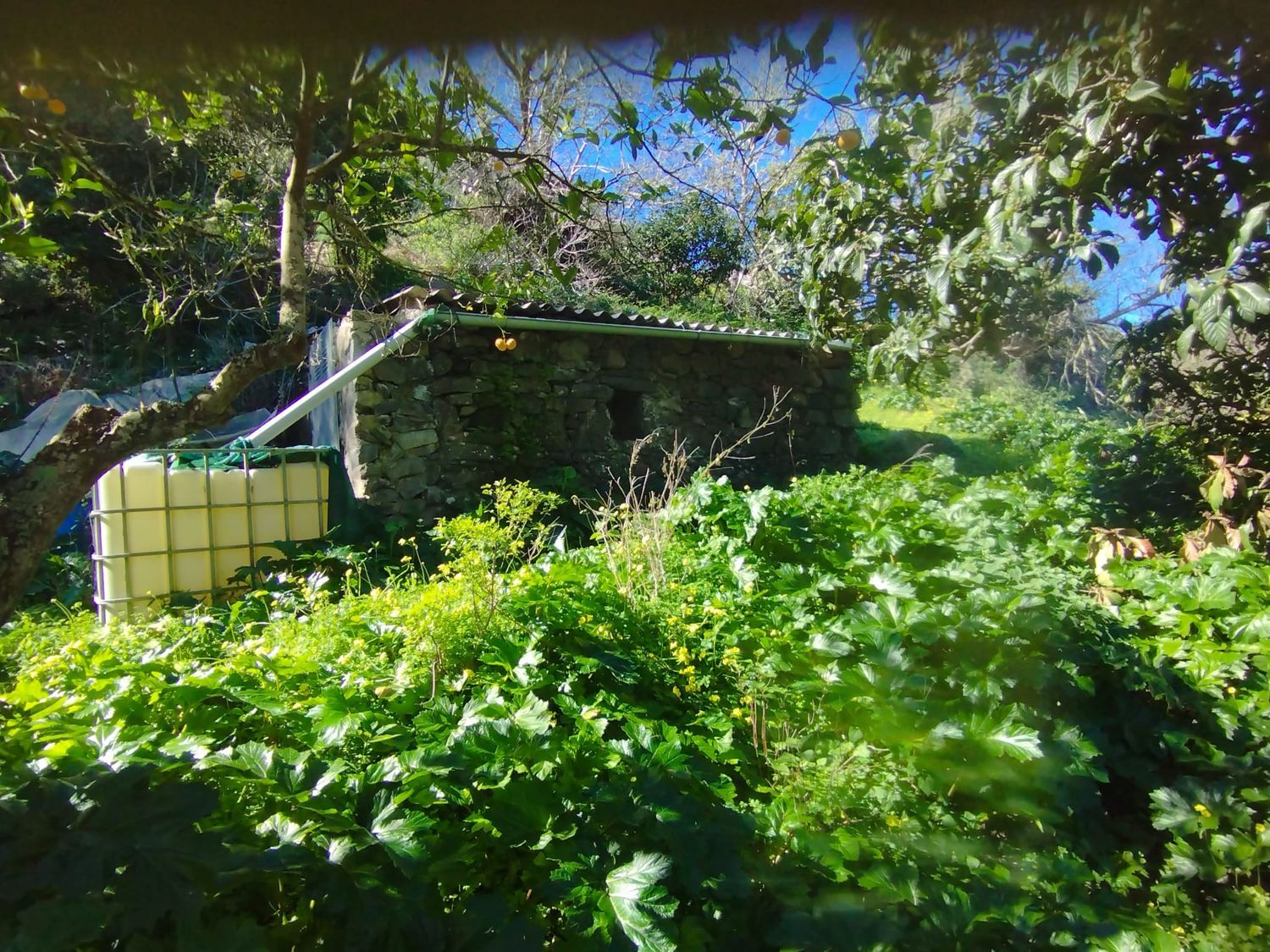 Casa independiente en El Laurelar, 53 - Foto 14