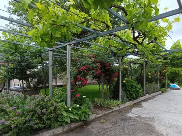 Chalet en Ourense Capital - Foto 6