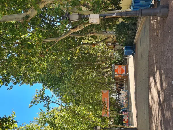 Piso en calle de Argente, 33 - Foto 1